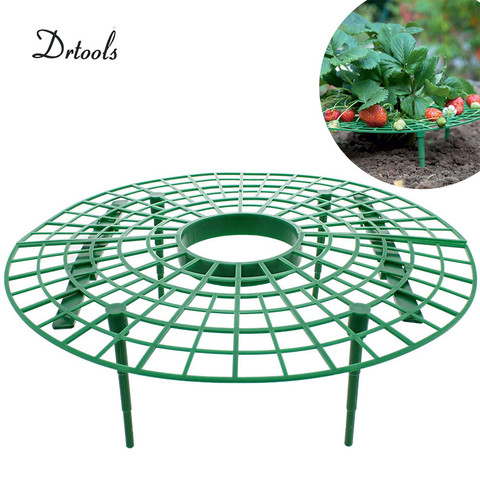 Drtools-Soporte de marco de fresa para jardinería, soporte de bandeja para plantas, soporte de fruta, planta, flor de vid, trepadora, Pilar, 5/10/20 piezas ► Foto 1/6