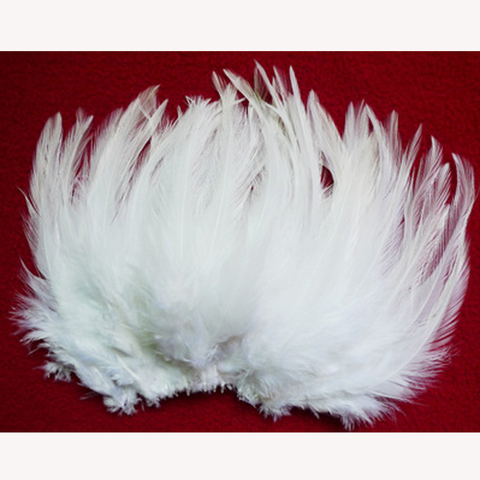 Plumas de faisán naturales para el cuello, lote de 50 unidades, color blanco, 10-15cm/4-6'' ► Foto 1/1
