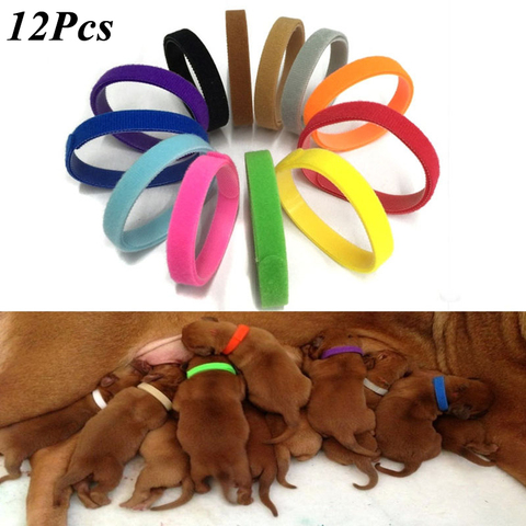 12 unids/set cachorro recién nacido mascotas identificar collares de Nylon ajustable pequeño perro mascota collares collar gatito del parto cachorro. ► Foto 1/6