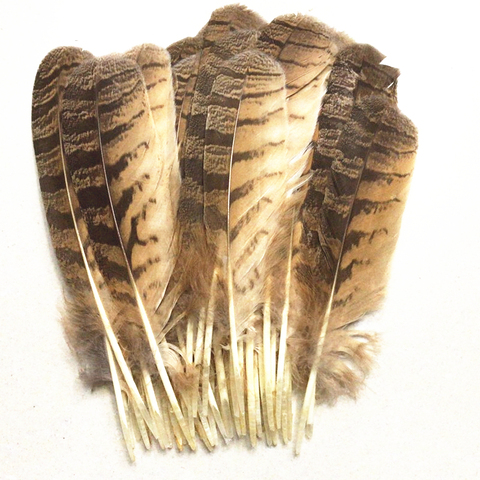 20 unids/lote plumas raras de búho águila 10-12 