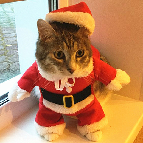 Disfraces de Navidad para gatos, ropa divertida de Papá Noel para gatos pequeños, perros, ropa para gato mascota, trajes de invierno para gatitos ► Foto 1/6