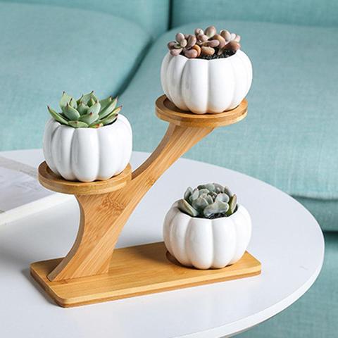 Maceta de cerámica con forma de calabaza para plantas suculentas, soporte de bambú para decoración del hogar ► Foto 1/6