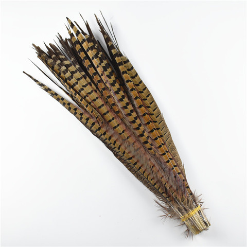 Plumas de la cola de faisán para decoración de bodas, Plumas de faisán de cuello Natural de 10-75CM, 4-30 