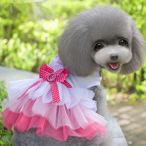 Ropa rosa para perros pequeños, vestido de princesa de encaje para cachorros, Chihuahua, falda para perro, primavera y otoño ► Foto 1/6