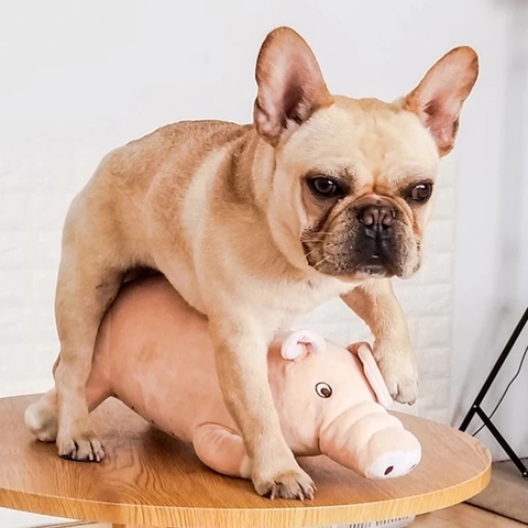 Perro juguete celo juguete perro sexo ventilación juguetes de peluche perro de juguete compañero francés mascota Bulldog gato de juguete compañero ► Foto 1/1