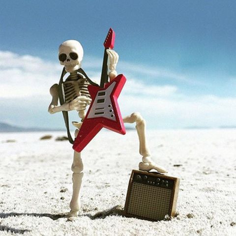 Accesorios móviles de Mr.Skeleton para Halloween, nuevo modelo de cráneo humano, figura, piezas de juguete ► Foto 1/6