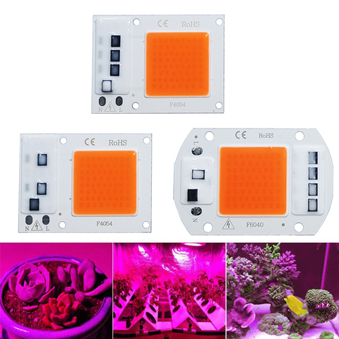 Chip de luz LED COB de espectro completo CA 220V, 10W, 20W, 30W, 50W, No necesita controlador para crecimiento de flores, plántulas, iluminación de plantas ► Foto 1/5