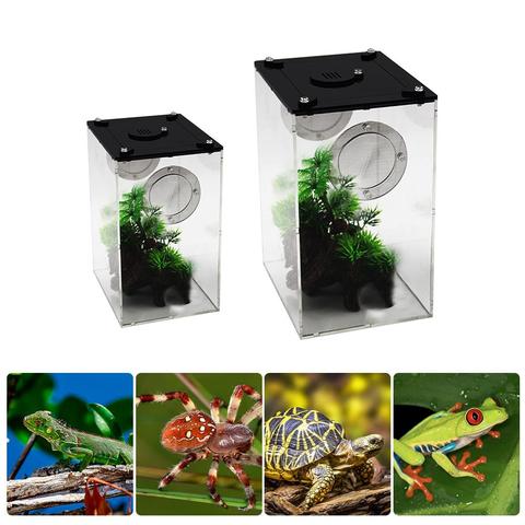 Terrario acrílico de araña, caja de alimentación para reptiles, escalada, mascota, terrario, serpiente, lagarto, escorpión, ciempiés, novedad ► Foto 1/6