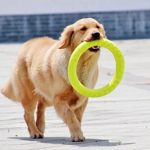 Discos voladores de goma EVA para mascotas, extractor de anillo de formación resistente a mordeduras, juguete flotante para cachorros, juego interactivo al aire libre, productos para juego ► Foto 1/6