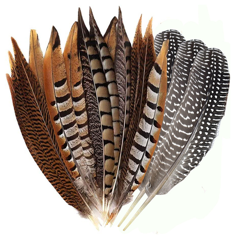 10 unids/lote pluma Natural Faisán de Amherst para mujer plumas de artesanía para decoración de fiesta de Ringneck faisán plumas de la cola boda DIY ► Foto 1/6