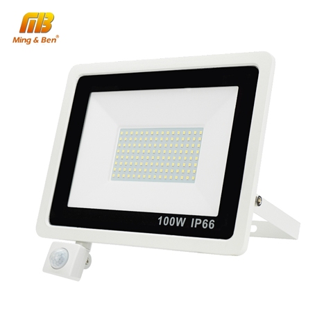 Reflector LED con sensor de movimiento PIR para exteriores, lámpara impermeable para jardín, pared, 220V, blanco o negro, 100W, 50W, 30W, 20W, 10W ► Foto 1/6