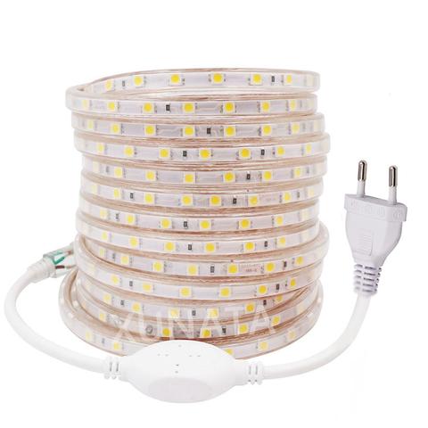 Tira de luces LED de 220V y 110V, cinta de diodos de 5050, 60Leds/Metro, Flexible, cinta de luz Led impermeable para exteriores, luz de banda Led para cocina, EU/UK ► Foto 1/6