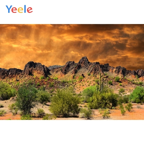 Fondo de la Montaña del desierto paisaje de la naturaleza recién nacido Baby Shower niños cumpleaños fiesta retrato fotografía de fondo para estudio fotográfico ► Foto 1/1