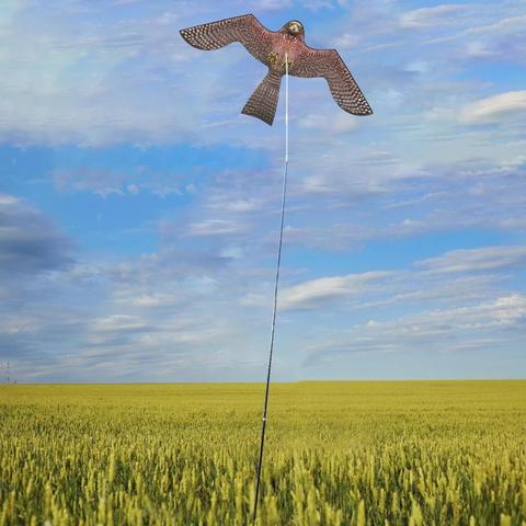 Repelente de aves, cometa antiaves con halcón volando, señuelo de espantapájaros para granja, jardín, plagas, repelente de aves ► Foto 1/6