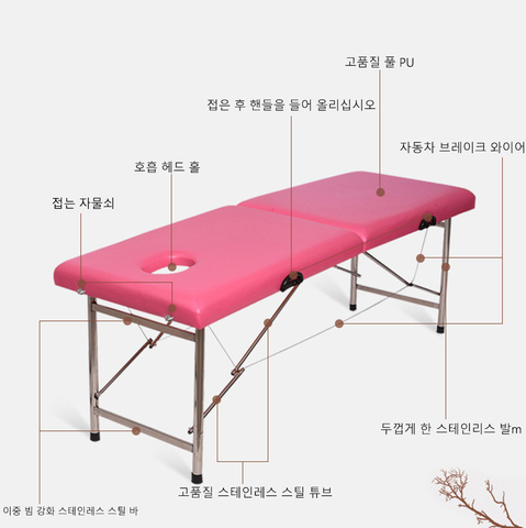 Mesa de masaje de Spa portátil, cama plegable profesional de belleza, ligera, plegable con bolsa, muebles de salón de aleación de aluminio ► Foto 1/6