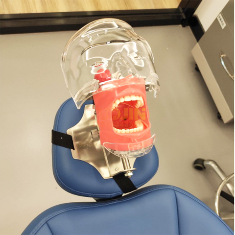 Modelo de cabeza simulador Dental el modelo de cabeza se puede instalar en la almohada de la silla Dental que se utiliza para la enseñanza de dentista ► Foto 1/6