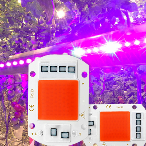 LED crece la luz de espectro completo COB LED Chip AC 110V 220V No necesita controlador lámpara Phyto para plantas de interior lámpara de cultivo de plántulas ► Foto 1/6