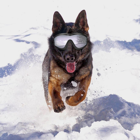 Gafas plegables para perros y mascotas, lentes de protección UV, impermeables, grandes y medianos ► Foto 1/6