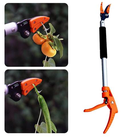 Recolector de árboles, podadora duradera y práctica de corto alcance, recolector de frutas, ramas, Bypass, cortadora, accesorios de jardín ► Foto 1/6