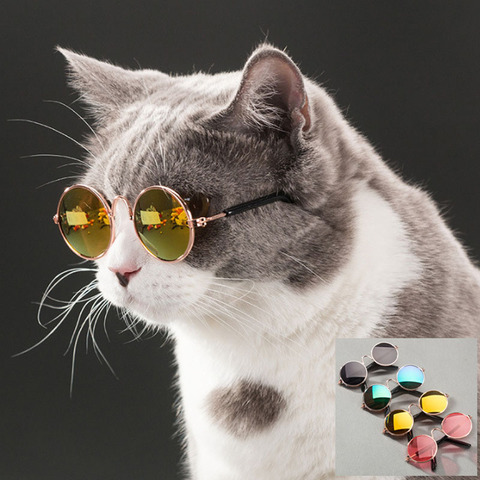 Gato gafas de perro productos para mascotas perrito ojo de gato ropa de perro gafas de sol fotos Accesorios suministros para mascotas de juguete ► Foto 1/6