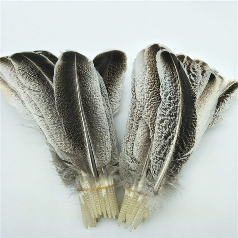 Plumas de águila naturales, Plumas de águila naturales para manualidades, fabricación de joyería, descuento, decoración de carnaval, boda, Plumas ► Foto 1/6