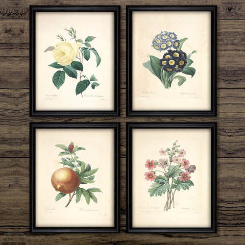 Pintura en lienzo Vintage Retro para decoración de la habitación, pósteres de frutas con estampado de flores botanas antiguas, arte de pared ► Foto 1/6