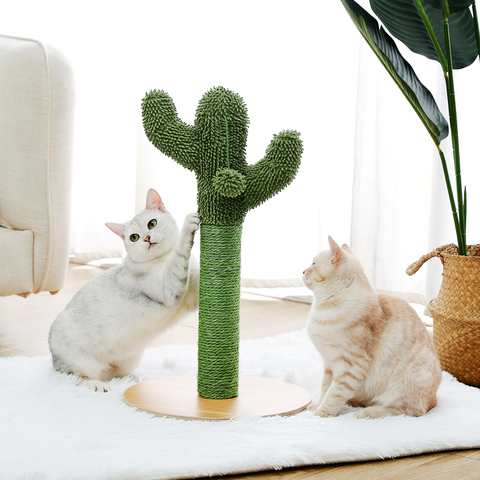 Dropshipping. Exclusivo. Cactus rascador para gato con cuerda de Sisal kitternScratcher Cactus para jóvenes y adultos gatos gato de juguete ► Foto 1/6