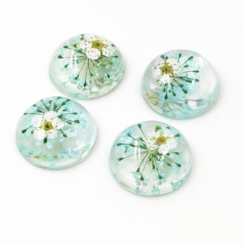 Nueva moda 10 Uds 20mm azul cielo flores blancas secas naturales de crisantemo cabujones Cameo-V3-04 ► Foto 1/2