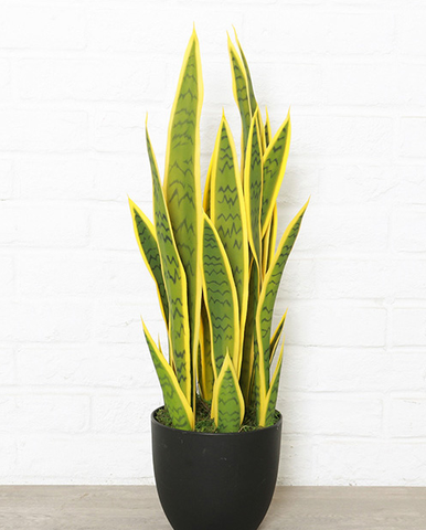 Sansevieria trifasciata artificial, planta tropical de gran tamaño, alta calidad, sensación de mano, suculentas verdes, regalo, decoración del hogar ► Foto 1/4