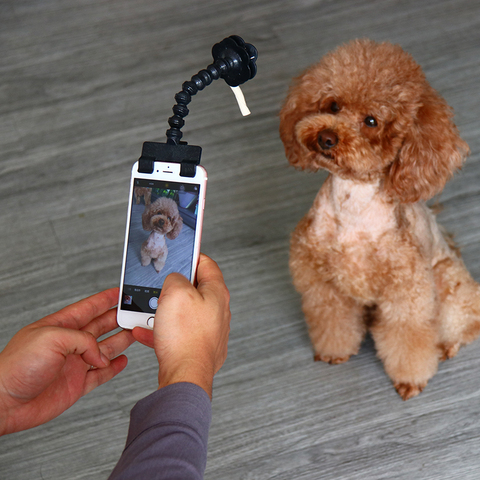 Palo de Selfie para mascotas perro gato fit iPhone Samsung y la mayoría de la tableta de teléfono inteligente negro/blanco Envío Directo ► Foto 1/6