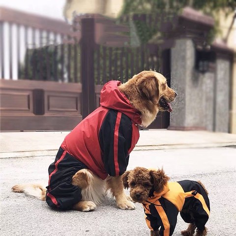 Perro impermeable mono pequeño mediano para perros abrigo de lluvia al aire libre ropa para mascotas ropa de perro para Labrador, Husky perro chaqueta SCC02 ► Foto 1/6