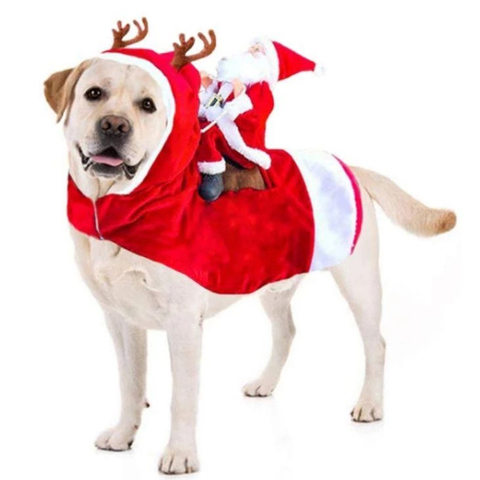 Disfraz de Papá Noel para perro, chaqueta de invierno, mascota pequeña, mediana y grande, ropa de Navidad, Carnaval, ropa divertida para mascotas ► Foto 1/6