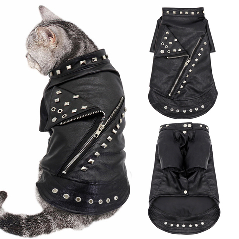 Chaqueta para gato de cuero para otoño e invierno, abrigo cálido para perros y gatos, ropa para mascotas, trajes para cachorros y gatitos, Disfraces para Chihuahua y Yorkshire ► Foto 1/6