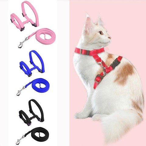 Conjunto de Correa y arnés con Collar para perro y gato, arneses ajustables de tracción de nailon para gato, gatito, cachorro, Collar con campana, Artículos para Mascotas con cuello Halter ► Foto 1/6