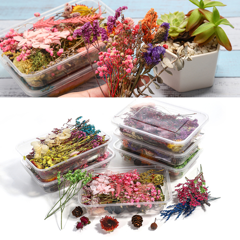 Caja de velas de aromaterapia con plantas de flores secas y coloridas, Moldes de resina epoxi para hacer joyería DIY, calcomanías para decoración de uñas ► Foto 1/6