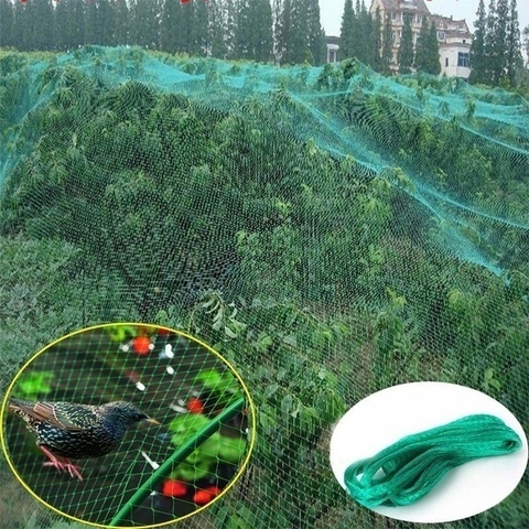 Red de protección contra aves para árboles, 2m / 4m x 10m, cultivo de frutas, malla para estanque de jardín ► Foto 1/6