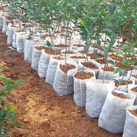 Nuevo 100 Uds de plántulas de plantas bolsas para vivero orgánica Biodegradable crecer bolsas tela respetuosa del medio ambiente ventilar creciente plantar bolsas ► Foto 1/6