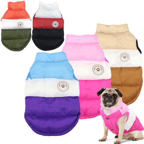 Ropa cálida para Perros Bulldog Francés, abrigo de invierno para perros, chaqueta, ropa para cachorros, disfraz, chaleco para mascotas ► Foto 1/6