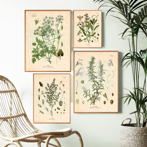 Póster Vintage botánico con estampado de especias y hierbas cuadro de lienzo para Decoración de cocina, con dibujo de perejil, romero y tomillo, arte de pared culinario ► Foto 1/6