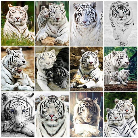 Evershine-pintura de diamante 5D DIY de tigre bordado de diamantes, mosaico de punto de cruz de animales cuadrados, imágenes de diamantes de imitación para decoración del hogar ► Foto 1/6