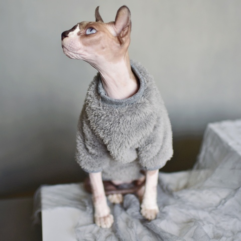 Suéter cálido para mascotas, ropa para gatos Sphynx, suave, a la moda, cómoda y gruesa, para invierno ► Foto 1/6