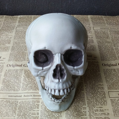 Bricolaje Halloween Artificial de la cabeza del cráneo modelos de decoración Horror Prop de plástico de la cabeza del cráneo de bares ornamento ► Foto 1/6