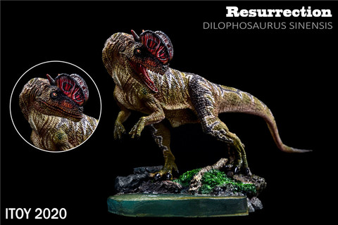 ¡En STOCK! ITOY-figura de dinosaurio Dilophosaurus a escala 1/35, modelo antiguo de resurrección biológica, coleccionista, juguete de decoración, regalo para chico con base ► Foto 1/6