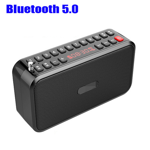 Mini altavoces Bluetooth 5,0 con llamadas manos libres, grabadora de sonido, Radio FM, TF, Reproducción USB, 3,5mm, auriculares internos con dos baterías 18650 ► Foto 1/6