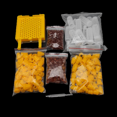 Kit completo de cría de Reina, cubierta de protección de Base de celda, herramientas de sistema de reinas de abejas, Larva, conjunto de cría, suministros de Apicultura ► Foto 1/6