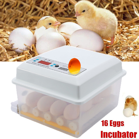 Incubadora de huevos automática inteligente, máquina Digital para granja, granja, pollo, ganso y codorniz ► Foto 1/6