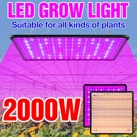 El crecimiento de LED de luz de espectro completo Phyto lámpara para vegetales 220V planta crece la lámpara del Panel LED flor hidropónica caja de carpa DE CRECIMIENTO DE 2000W Fitolampy ► Foto 1/6