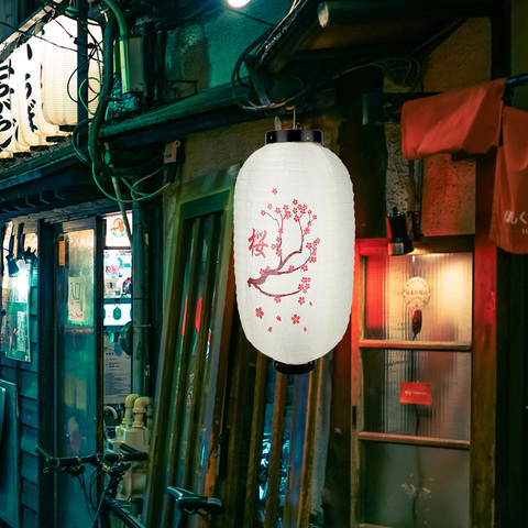 Linterna de papel colgante de estilo japonés tradicional, 10 pulgadas, decoración japonesa para bodas, fiestas de cumpleaños, hogar y dormitorio, Lampion ► Foto 1/6