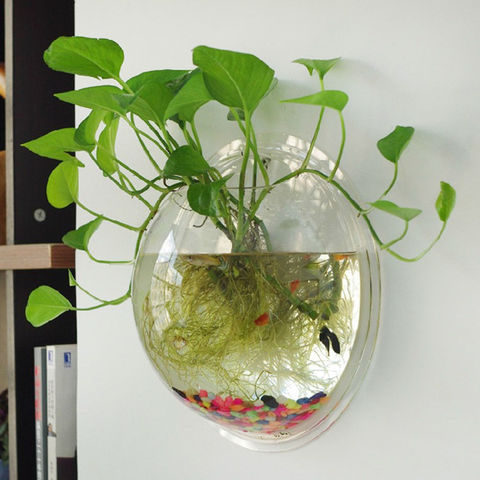 Maceta de flores colgante, florero de bola de vidrio, Terrario de pared, recipiente acuario, jarrón colgante de vidrio para decoración del hogar ► Foto 1/6