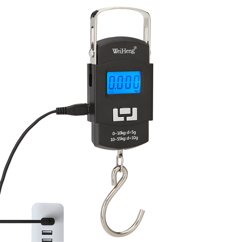 Balanza Digital electrónica de carga USB, gancho colgante para pesca, viaje, doble precisión, escala de peso del equipaje, 55KG, 10g ► Foto 1/6